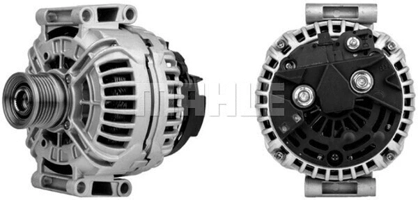 Alternator (WG2203029)