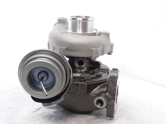 Charger, charging (supercharged/turbocharged) (WG2139373)
