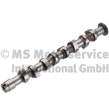 Camshaft (WG1017687)