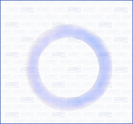 Seal Ring, oil drain plug (WG1452154)