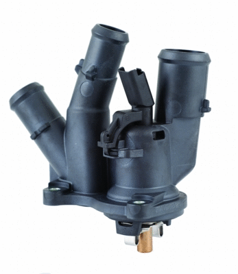 Thermostat, coolant (WG1409437)