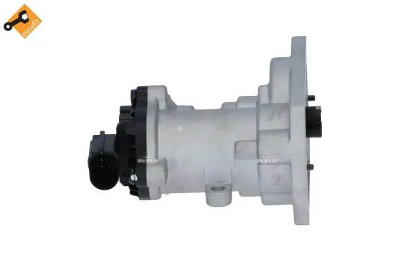 EGR Valve (WG2161848)