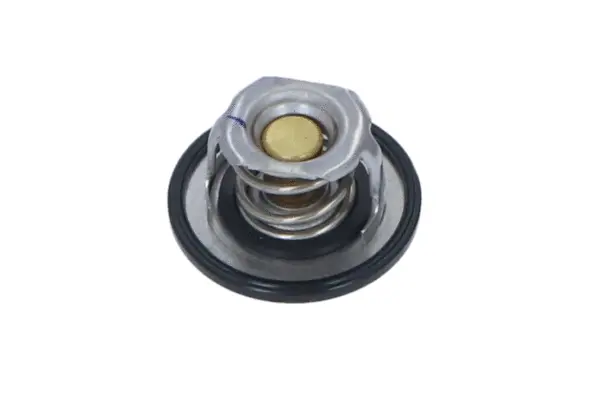 Thermostat, coolant (WG2184701)