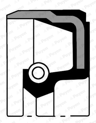 Shaft Seal, camshaft (WG1183350)