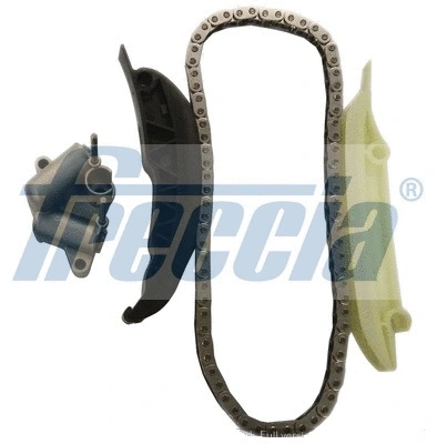Timing Chain Kit (WG1910033)