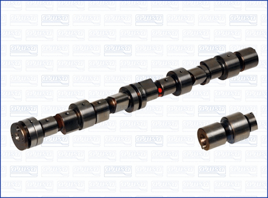 Camshaft (WG1170901)