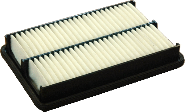 Air Filter (WG2111871)