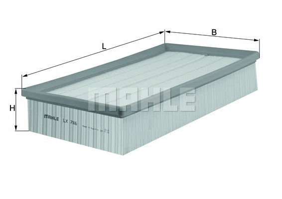Air Filter (WG1216791)