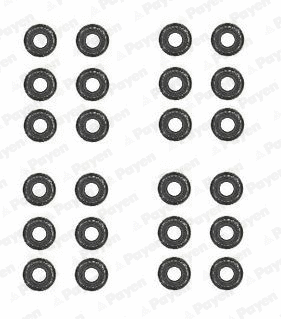 Seal Set, valve stem (WG1177006)