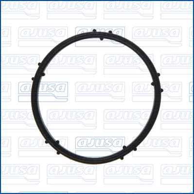 Gasket, water pump (WG2079984)