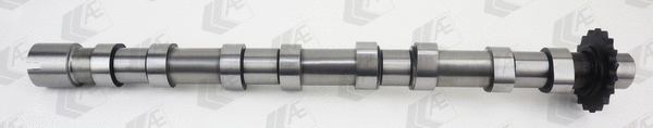Camshaft (WG2176682)