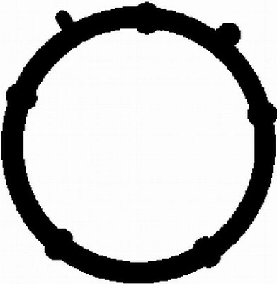 Gasket, intake manifold (WG1764180)