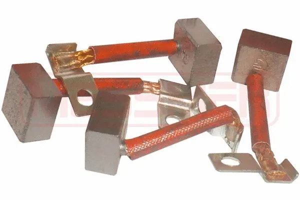 Carbon Brush, starter (WG2013644)