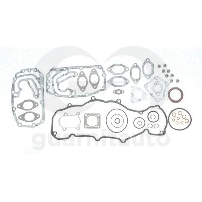 Gasket Kit, cylinder head (WG2132540)