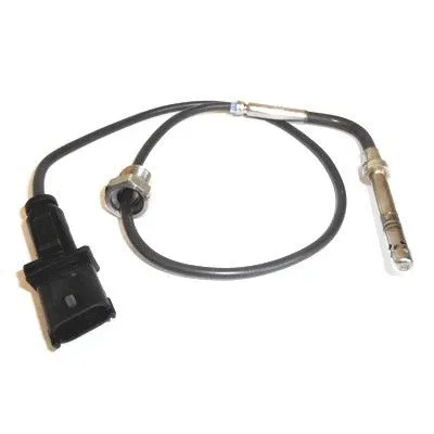 Sensor, exhaust gas temperature (WG1015018)