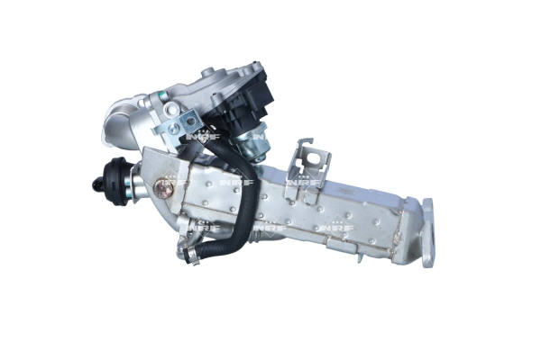 EGR Valve (WG2161879)