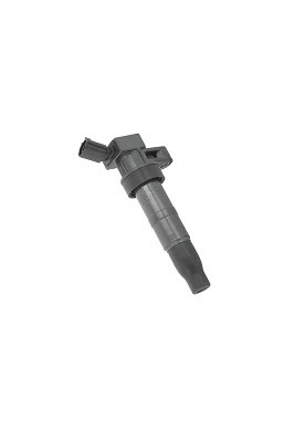 Ignition Coil (WG1940704)
