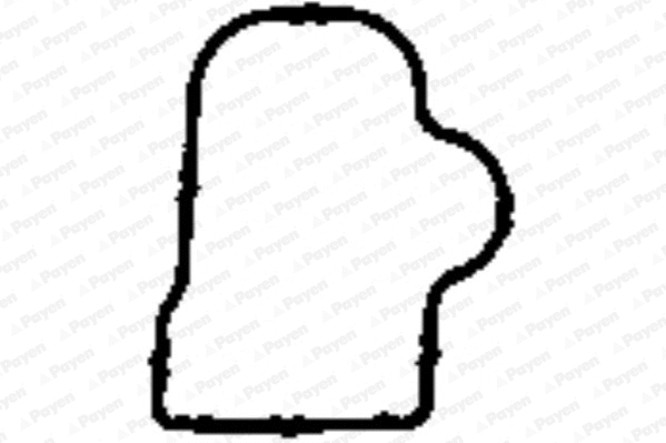 Gasket, intake manifold (WG1182020)