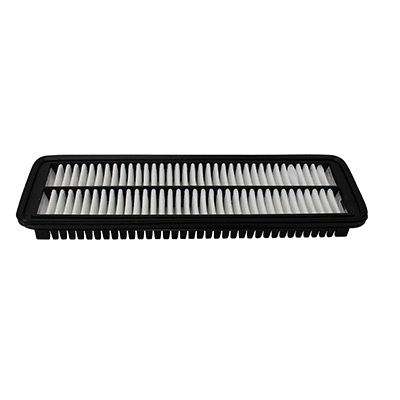 Air Filter (WG2152159)
