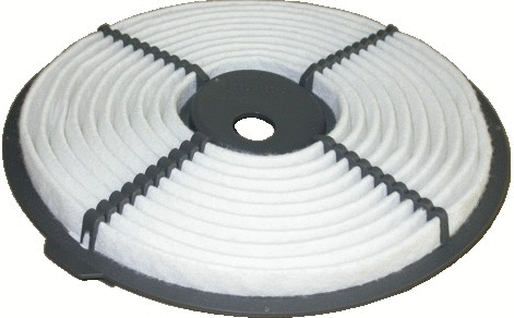 Air Filter (WG1746826)