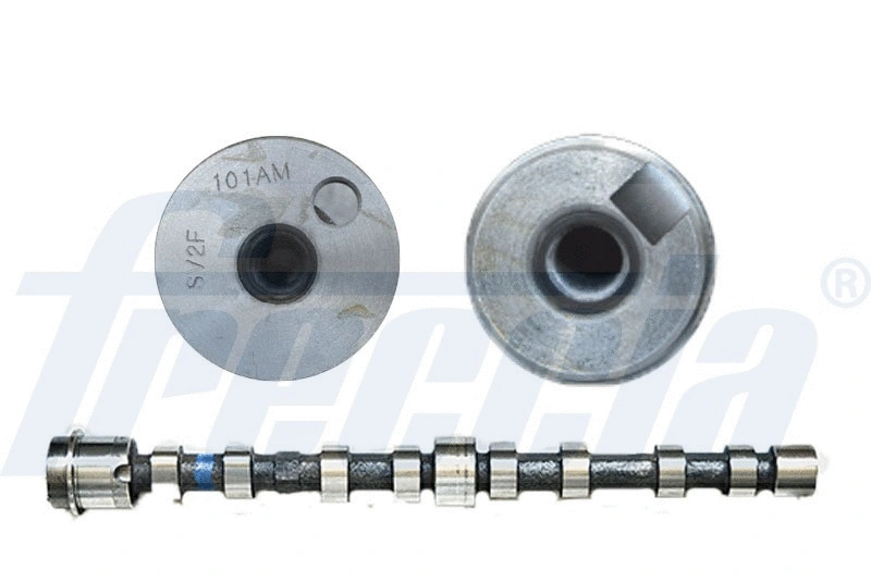 Camshaft (WG1779076)