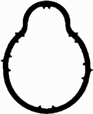 Gasket, intake manifold (WG1764067)