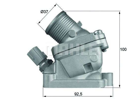 Thermostat, coolant (WG1217528)