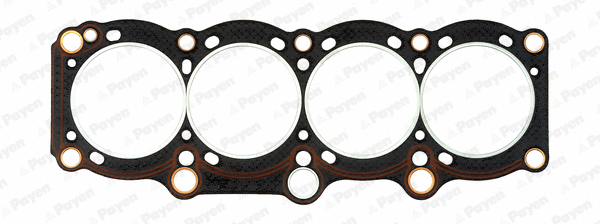 Gasket, cylinder head (WG1090209)