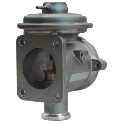 EGR Valve (WG1015322)