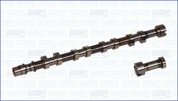 Camshaft (WG1456584)