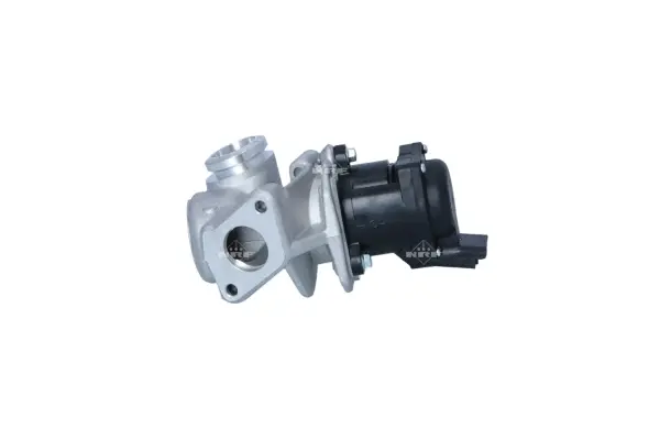 EGR Valve (WG2161797)