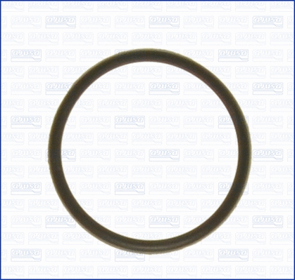 Seal, thermostat (WG1751264)