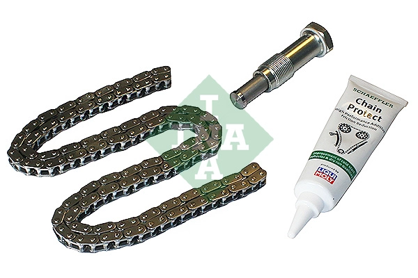 Timing Chain Kit (WG2202783)