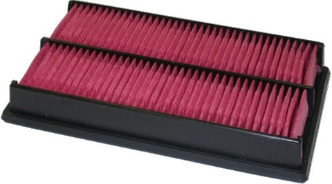 Air Filter (WG1746771)