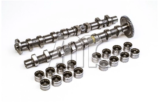 Camshaft Kit (WG2010547)