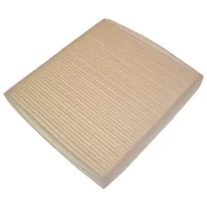 Filter, cabin air (WG1774722)