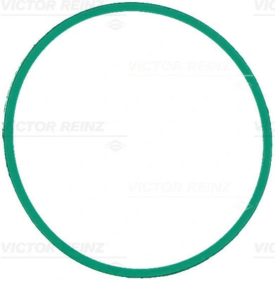 Gasket, intake manifold (WG1915296)