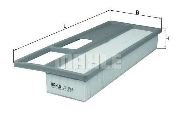 Air Filter (WG1216116)