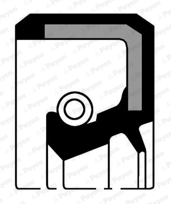 Shaft Seal, camshaft (WG1184109)