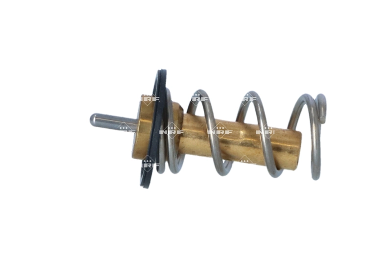 Thermostat, coolant (WG2184691)