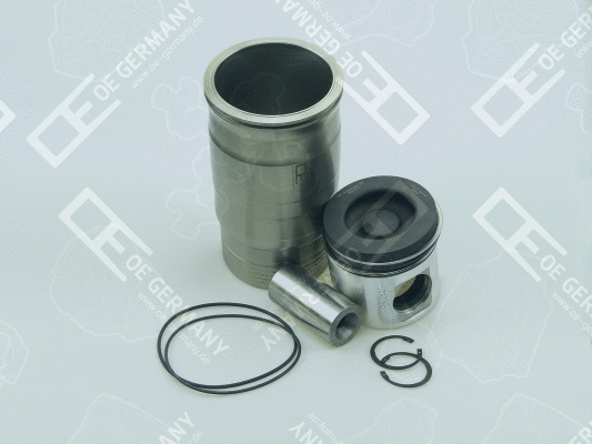 Repair Set, piston/sleeve (WG2102646)