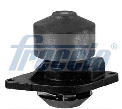 Water Pump, engine cooling (WG2046946)