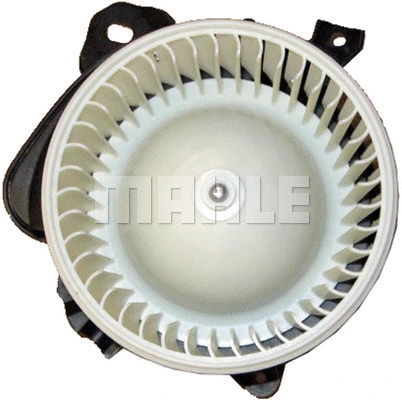 Interior Blower
