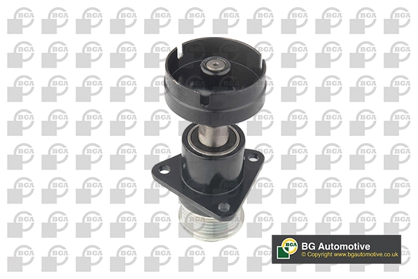 Alternator Freewheel Clutch (WG1907451)