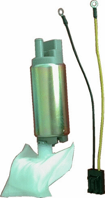 Fuel Pump (WG1012611)