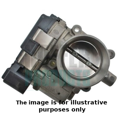 Throttle Body (WG2196338)