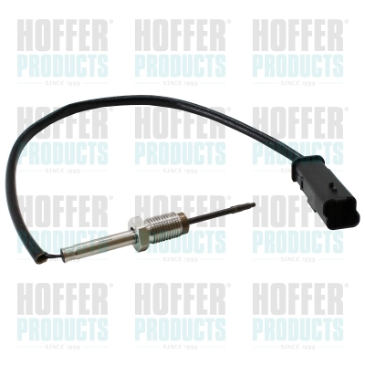 Sensor, exhaust gas temperature (WG2099440)