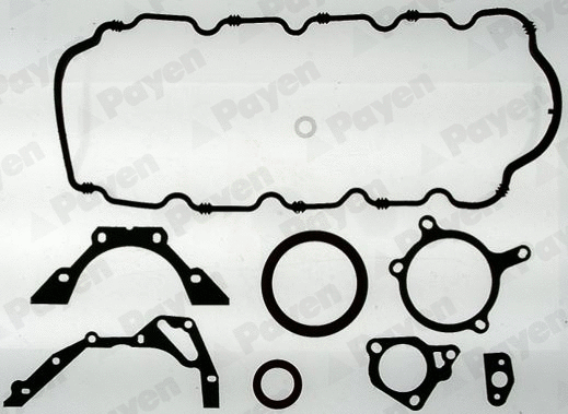 Gasket Kit, crankcase (WG1180161)