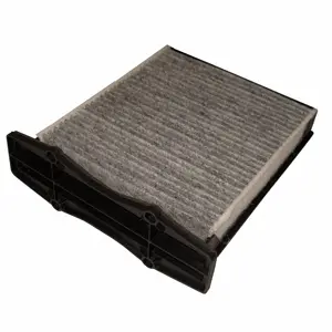 Filter, cabin air (WG1774589)