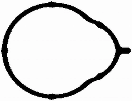 Gasket, intake manifold (WG1764221)